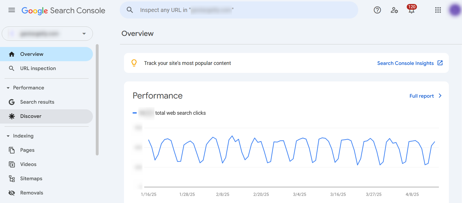 Google Search Console - main tab example